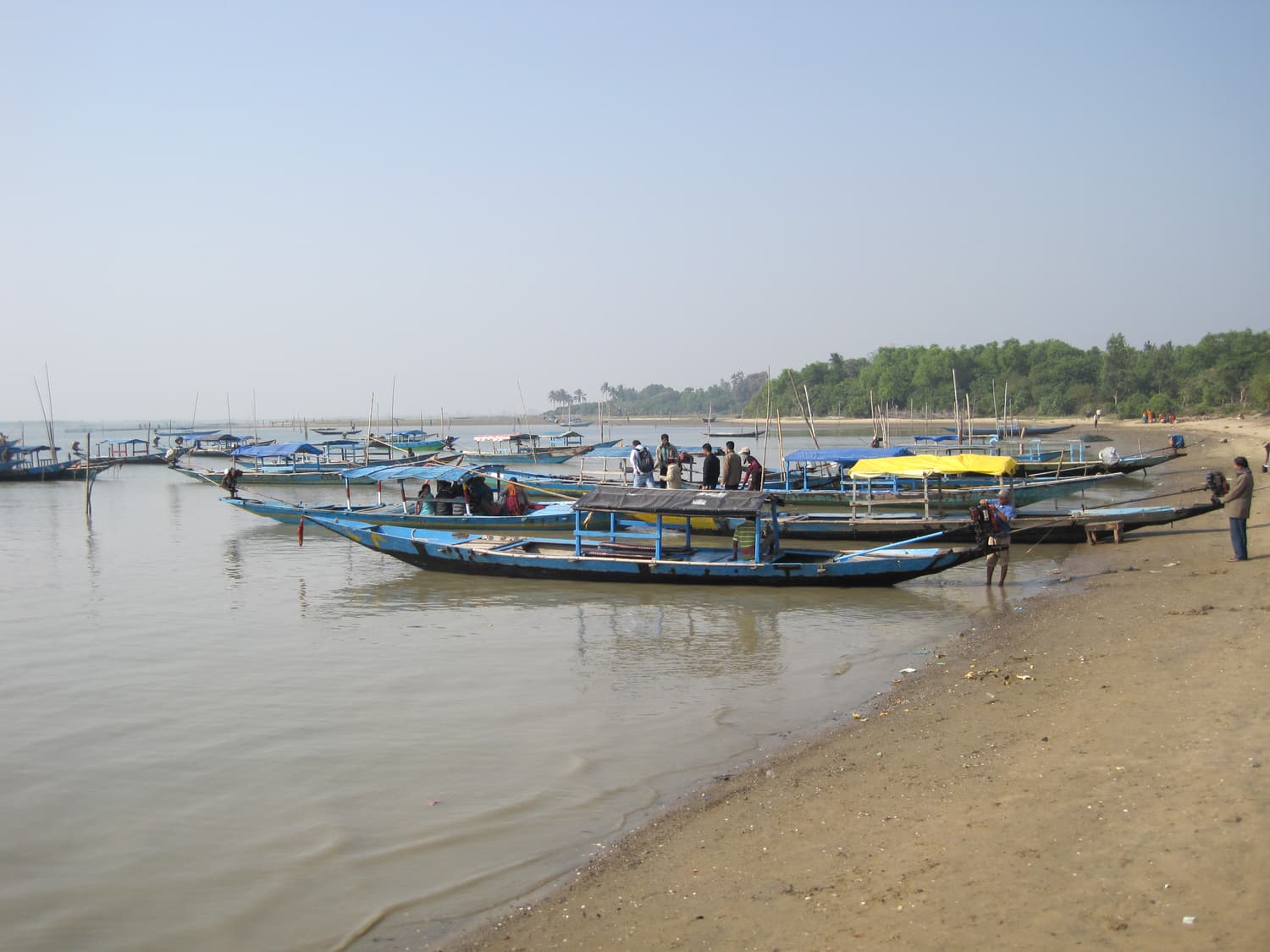Wooden passenger boats moored on the shore of Chilika Lake